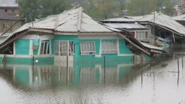 Mai multe gospodării din județul Buzău au fost inundate în urma ploilor puternice căzute joi