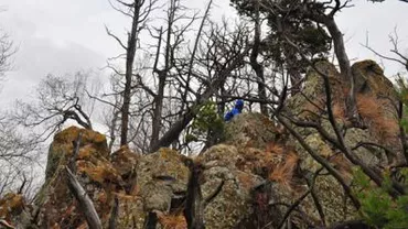 Hunedoara: Pereții unei locuințe au fost distruși de un bolovan căzut de pe un versant