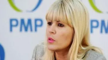 PMP a depus o plângere penală împotriva ADS și împotriva unei firme controlate de Dan Voiculescu