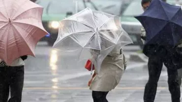 Cod galben de ploi în județele Timiș, Botoșani și Suceava