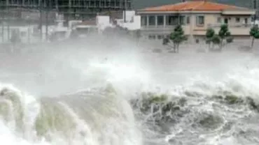 Japonia: Taifunul Neoguri a ajuns pe insula Kyushu