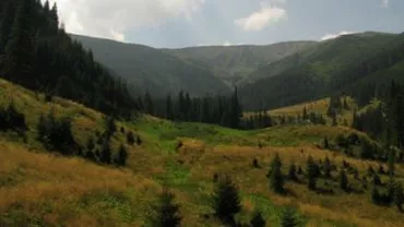 Un traseu montan din Retezat a fost închis, după ce peste 600 de oi au fost găsite moarte
