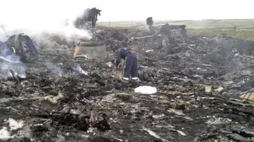 Mărturiile cutremurătoare ale surorii românului mort în urma doborârii avionului Malaysia Airlines: ”I-am cerut să aibă grijă” (VIDEO)