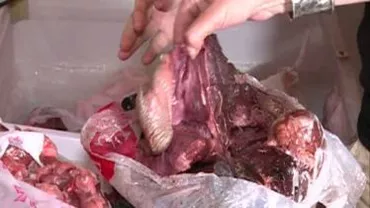 Inspectorii ANPC au închis o terasă din Mamaia după ce au găsit alimente expirate