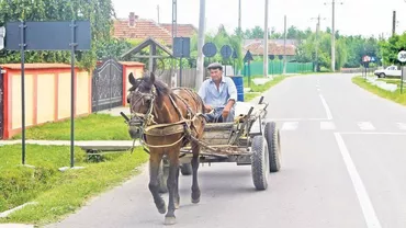 Un sat din Ialomița are 200 de semne rutiere, dar niciun automobil (VIDEO)