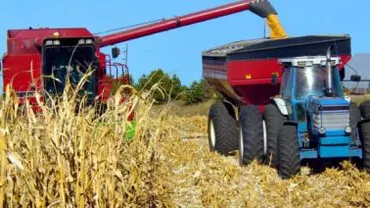 Record de exporturi agricole în luna iulie: Afacerile au adus 500 milioane de euro în conturile exportatorilor