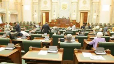 Amnistia fiscală, extinsă de plenul Senatului de la personalul din învățământ la toți bugetarii