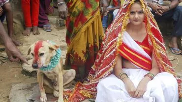 India: O tânără de 18 ani a fost obligată să se mărite cu un câine pentru a scăpa de un blestem