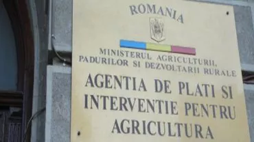 Mita de la APIA era cheltuită pe amante și concedii (VIDEO)