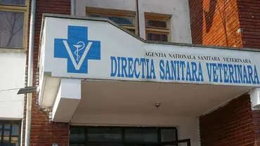 Percheziţii la Direcţia Sanitară Veterinară Sibiu, fiind vizaţi directori şi funcţionari