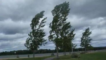 ANM: Cod galben de vânt în județul Sibiu