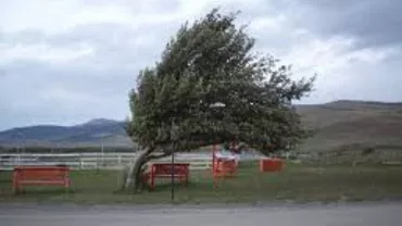 Avertizare de vânt puternic pentru zona Dobrogei și Delta Dunării