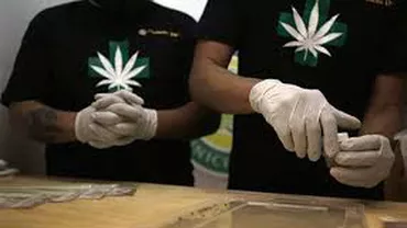 Chile devine prima ţară din America Latină care va cultiva marijuana în scopuri medicinale
