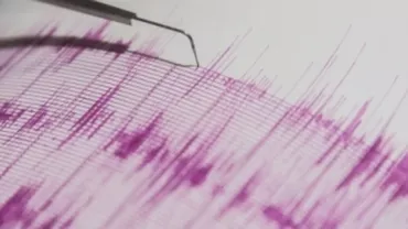 Cutremur de 2,5 magnitudine, produs în Vrancea