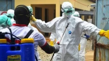 Medici fără Frontiere va face trei teste clinice pentru tratarea Ebola în Africa de Vest