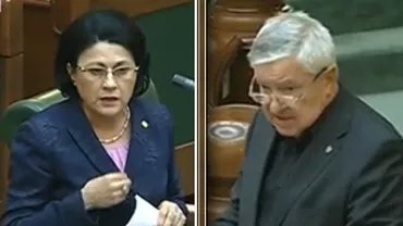 Aviz favorabil pentru începerea urmăririi penale a senatorilor Ecaterina Andronescu și Șerban Mihăilescu