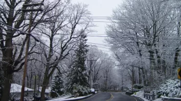 ANM: Informare meteorologică de lapoviţă, ninsori și intensificări ale vântului, pentru toată țara