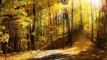 În 2014 s-a înregistrat cea mai caldă lună octombrie de la începutul măsurătorilor meteorologice pe Terra