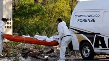 Mexic: 11 cadavre decapitate au fost găsite pe marginea unui drum din Guerrero