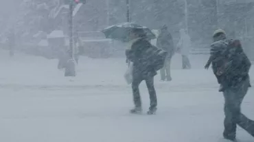 Atenționare meteorologică de ninsori și polei pentru sudul Moldovei, Dobrogea și Muntenia