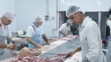 Activitatea a două abatoare de cai din Călărași, suspendată în urma unor controale