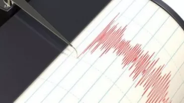 Un cutremur cu magnitudinea 3,9 s-a produs în Vrancea