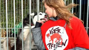 Organizația Vier Pfoten îi cere lui Răzvan Băncescu dovezi clare pentru acuzaţiile făcute şi spune că îl va da în judecată