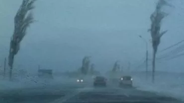 Avertizare cod galben de vânt pentru cinci județe