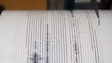 Cutremur de 2,5 magnitudine, produs în județul Vrancea