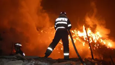 Incendiu la o cabană din zona Muntele Băișorii