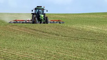 Prețurile terenurilor agricole, în continuă creștere: Investitorii străini, tot mai interesați de pământurile românești