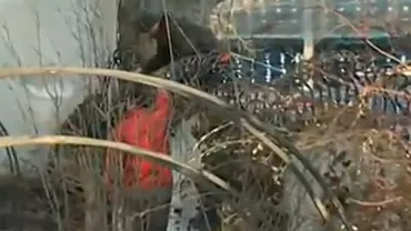 Miron Mitrea s-a predat la IPJ Constanța și va executa cei doi ani de închisoare la penitenciarul Poarta Albă (VIDEO)