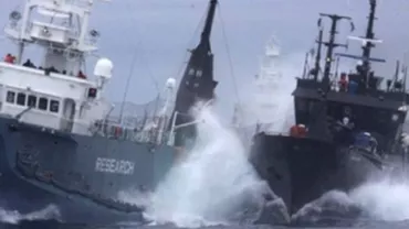 Raport Frontex: Numărul imigranților ilegali în UE s-a triplat în 2014