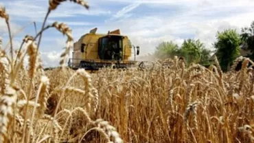 Marii latifundiari ai României depind de banii de la UE şi din bugetul statului: Primele zece companii agricole din România au încasat în 2014 peste 16 milioane de lei de la stat
