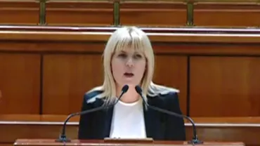 DNA: Denunțul Elenei Udrea pe numele generalului SRI Florian Coldea a fost clasat