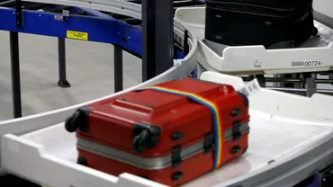 Plan bizar întocmit de un român din Londra, investigat de poliția britanică: Românul voia să scoată din țară un bărbat mic de înălțime, într-o valiză