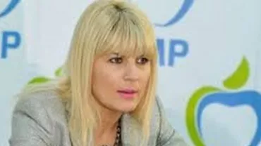 Elena Udrea: Elementele invocate în cererea DNA, trunchiate