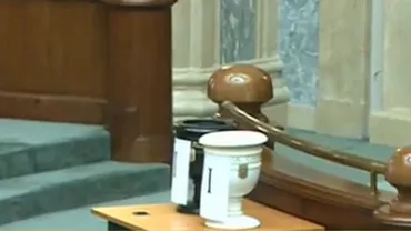 Cazul Vâlcov va fi votat în Senat cu majoritate simplă