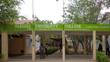 Kenya: Cinci suspecți au fost arestați în urma atacului de la Universitatea din Garissa