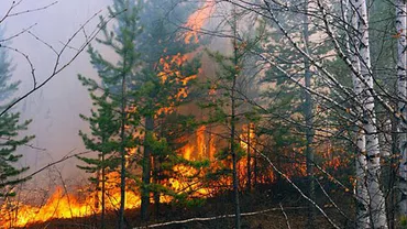 Incendiile de vegetaţie care afectează Siberia s-au extins până în nordul Chinei