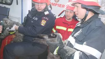 Imaginile devenite virale pe Internet: "Pompierii nu salvează doar oameni" (FOTO)