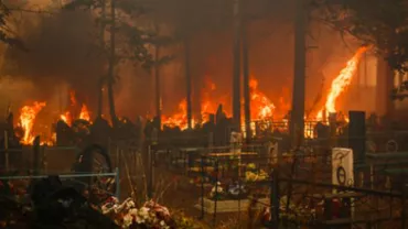 Siberia: Incediile continuă să devasteze zona. Aproape 12.000 de hectare de vegetație au fost distruse