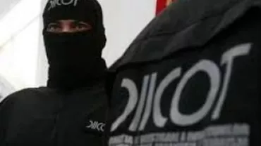 14 suspecţi din gruparea "Academia Infractorilor" au fost reţinuţi, iar alți trei au fost plasați sub control judiciar