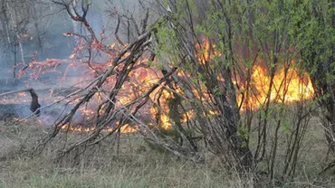 Ministrul Mediului a convocat comitetul pentru situații de urgență, după incendiul de lângă Cernobîl. Grațiela Gavrilescu: Ne întâlnim preventiv (VIDEO)