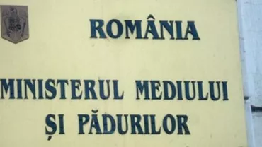 Graţiela Gavrilescu: Sunt niște nereguli posibile la firma Holzindustrie și atunci am dat dispoziție, prin ordin de ministru, să înceapă controlul (VIDEO)