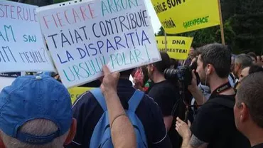 Brașov: Peste 700 de persoane au protestat faţă de tăierile ilegale de păduri