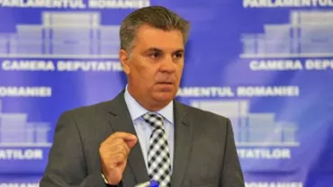 Holzindustrie Schweighofer i-a scris lui Zgonea despre modificarea Codului Silvic: "Va avea un impact negativ asupra tratatului bilateral de investiţii dintre Austria şi România"
