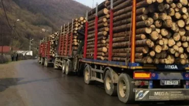 Două ordonanțe privind blocarea exporturilor de lemn, supuse dezbaterii de ministerul Mediului: Exporturile de bușteni și cherestea, oprite până la 31 august. Toţi exportatorii, obligaţi să obţină o licenţă