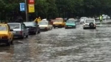 Doi oameni s-au electrocutat după ce au călcat pe cabluri de electricitate rupte de un copac doborât de furtuna de duminică