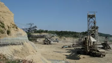 Gorj: Pădure de 80 de hectare, salvată de la defrișare